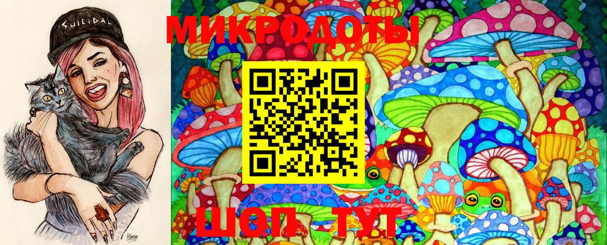 Псилоцибиновые грибы Psilocybine cubensis  Вход с VPN  Туапсе 